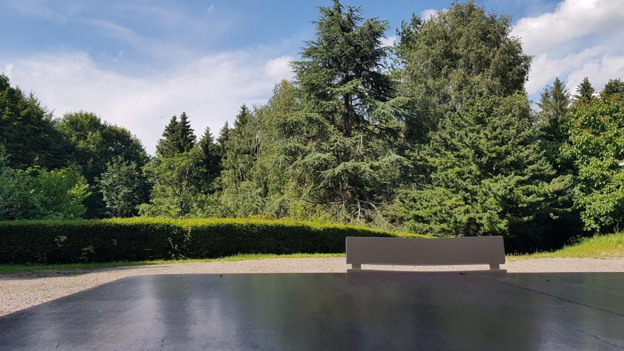 Le Grand Tetras - Col Du Donon Apartment Grandfontaine  ภายนอก รูปภาพ